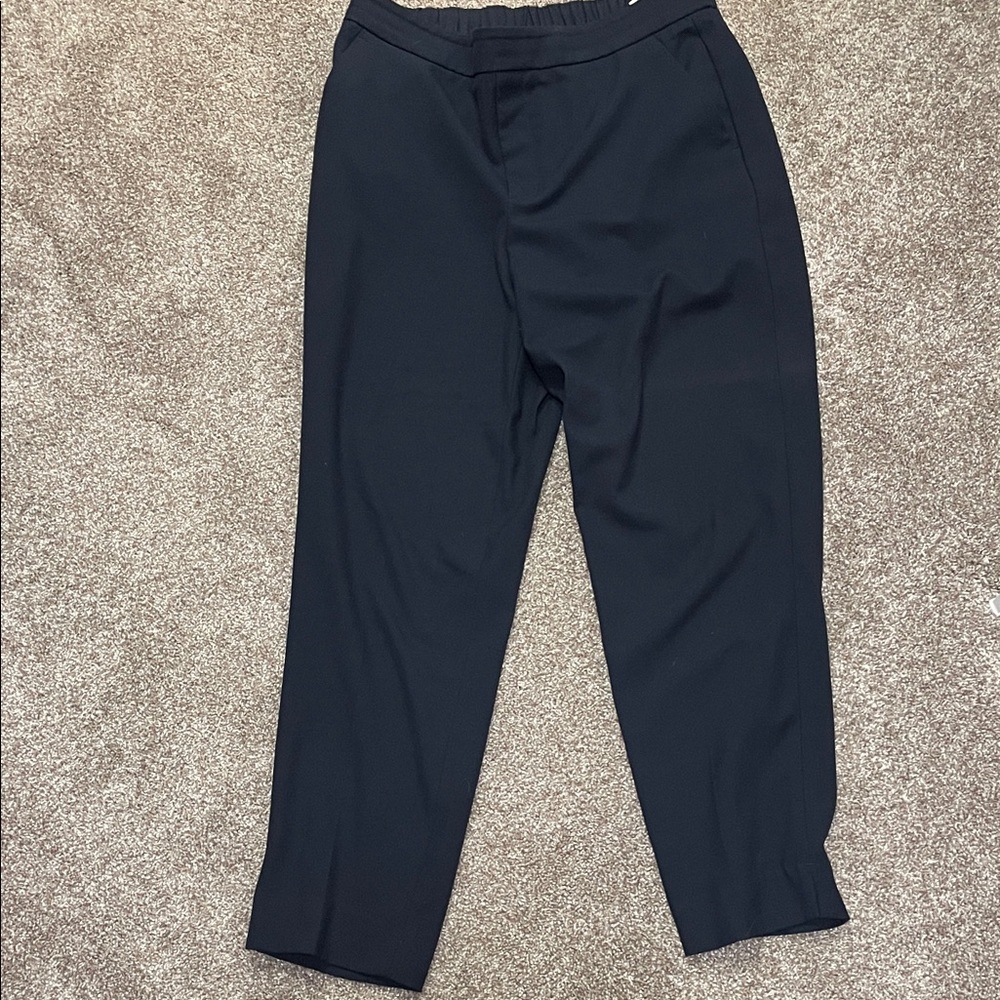 Banana Republic Women's Navy Trousers
